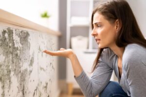 Will Home Insurance Cover Mold?